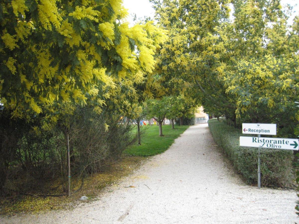Campastrello Sport Hotel Residence Castagneto Carducci Room photo